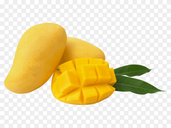 Close up view of mango fruit cut in cubes on transparent background PNG