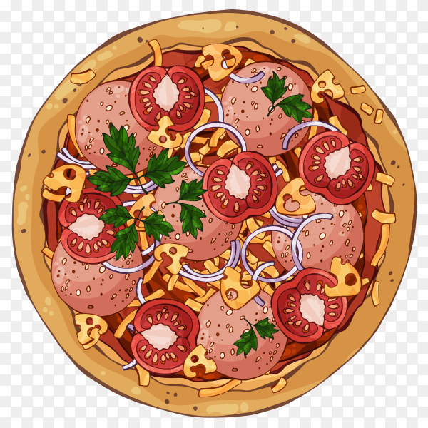 Colorful round tasty pizza on transparent background PNG
