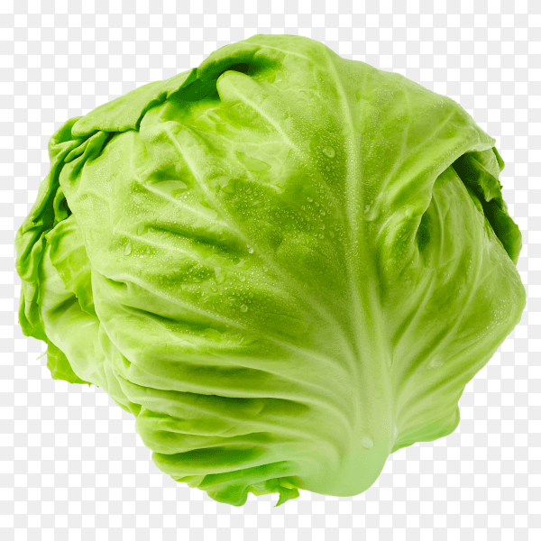 Fresh cabbage isolated on transparent background PNG