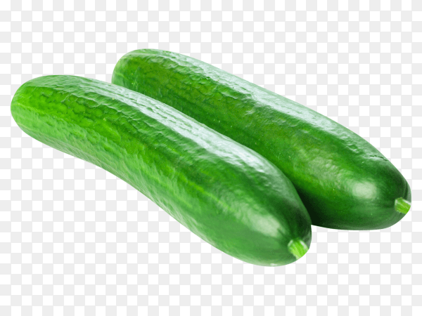 Green cucumber on transparent background PNG