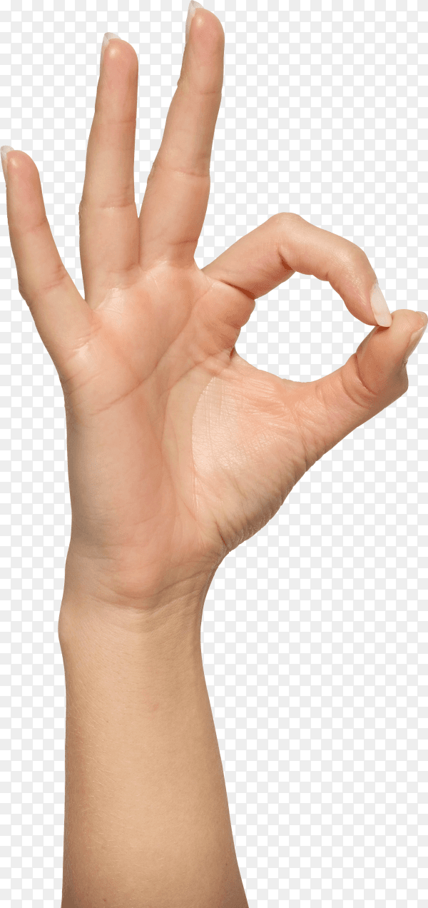 Hand showing OK sign on transparent background PNG