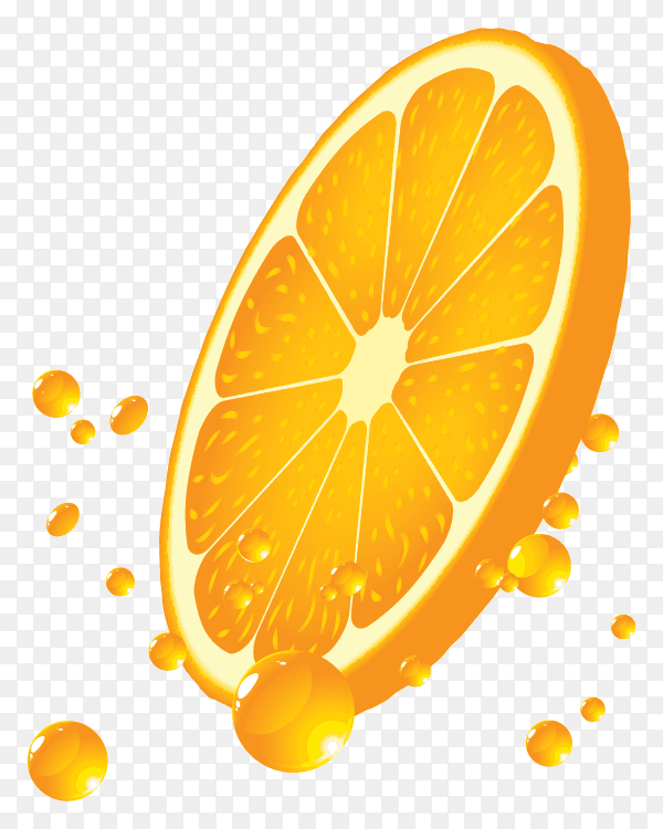 Slice of orange on transparent background PNG
