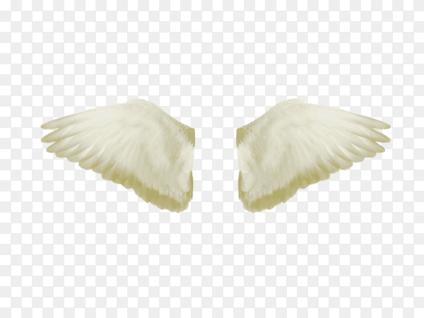 White wings isolated on transparent background PNG
