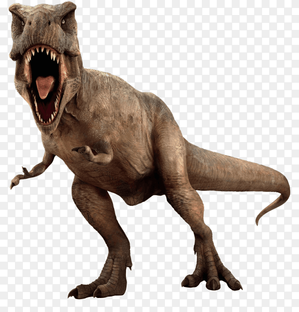 Dinosaur isolated on transparent background PNG