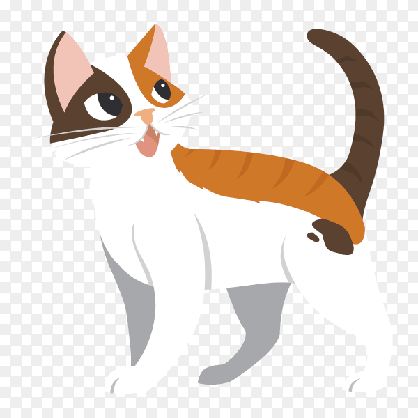 A sticker template of cat cartoon on transparent background PNG