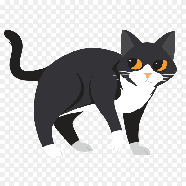 Cute cartoon cat in black color on transparent background PNG