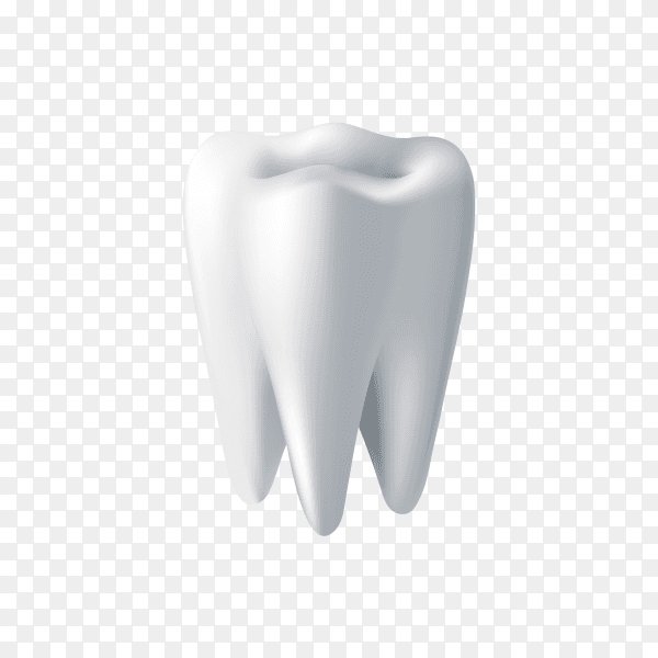 Clean white tooth on transparent background PNG