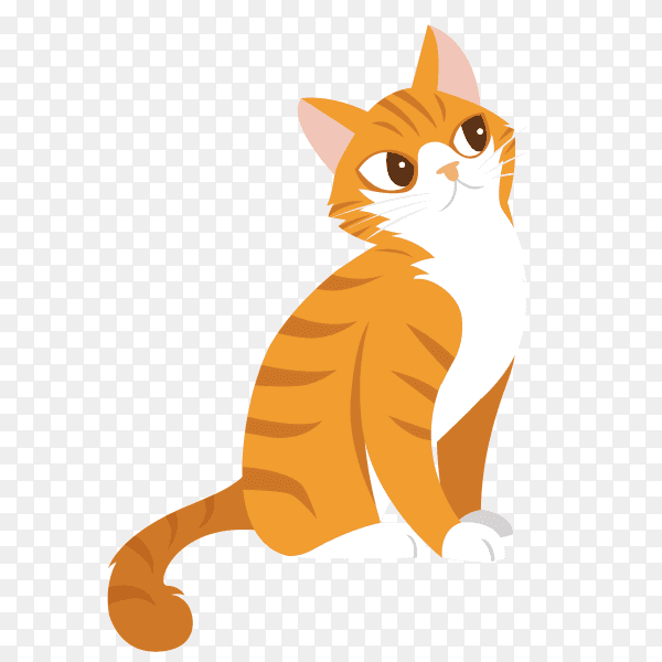 Cute cartoon cat hand drawn on transparent background PNG