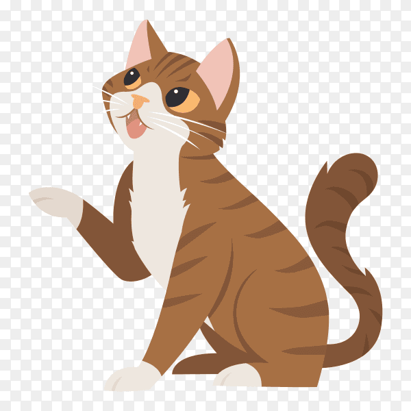 Cute cartoon cat on transparent background PNG