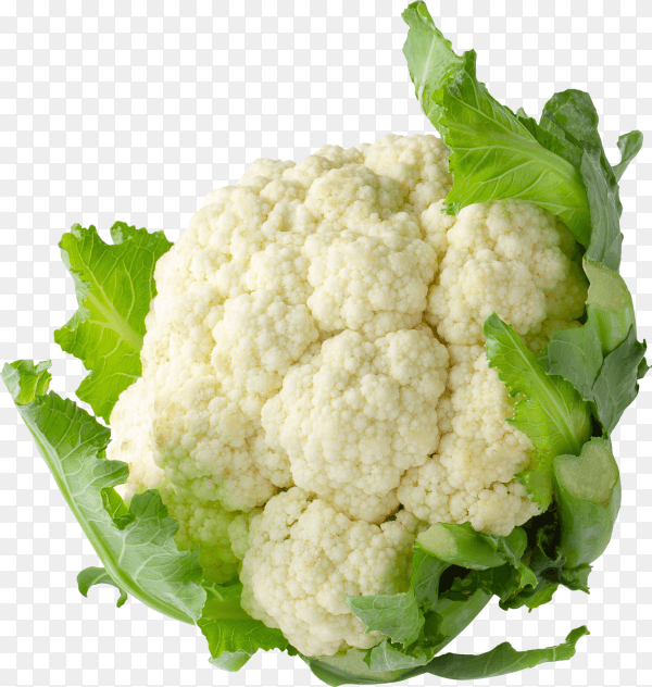 Fresh cauliflower isolated on transparent background PNG