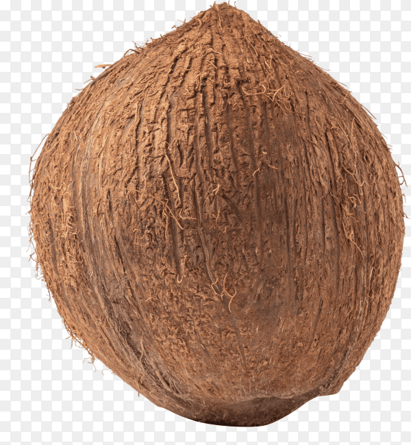 Fresh coconut isolated on transparent background PNG