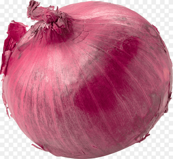 Fresh red onion isolated on transparent background PNG