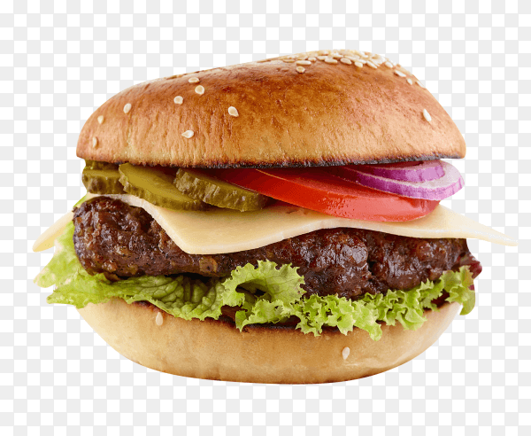 Fresh tasty burger isolated on transparent background PNG