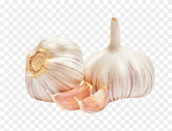 Garlic isolated on transparent background PNG