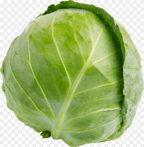 Green cabbage vegetable isolated on transparent background PNG