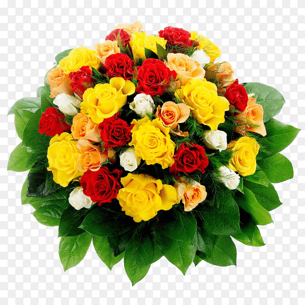 Luxurious and elegant bouquet of roses and Other colors flowers on transparent background PNG