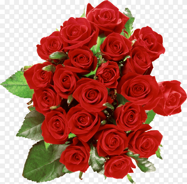Luxury bouquet of fresh red roses on transparent background PNG