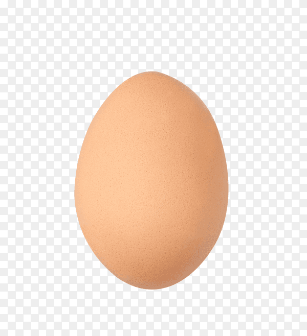 One raw egg isolated on transparent background PNG