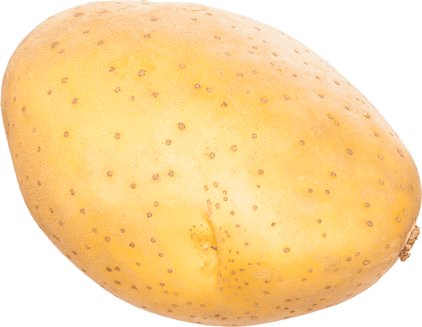 Potato isolated on transparent background PNG