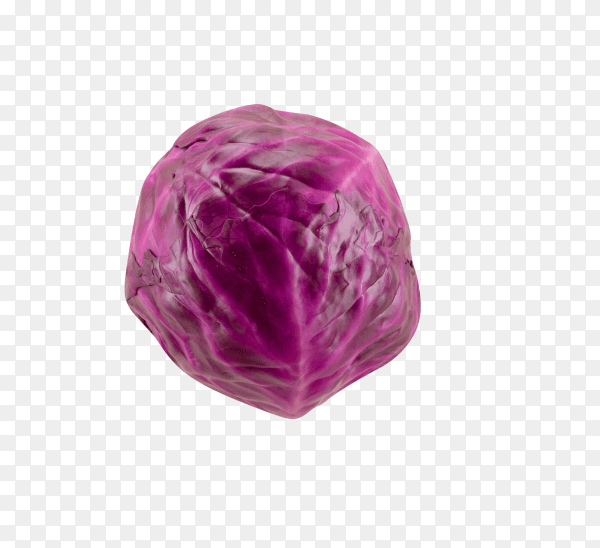 Red cabbage isolated on transparent background PNG