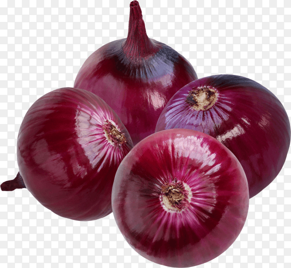 Red onions isolated on transparent background PNG