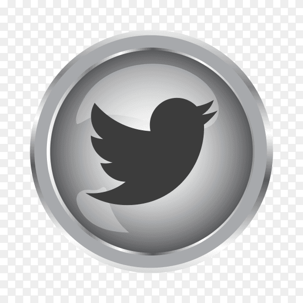 Silver Twitter icon with round icon on transparent background PNG