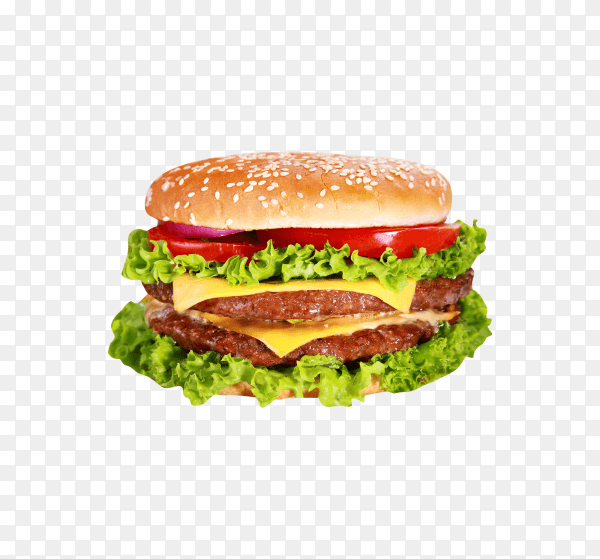 Tasty meat burger with cheese and salad on transparent background PNG