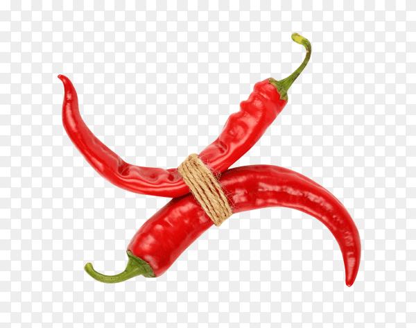 Two red chili peppers on transparent background PNG
