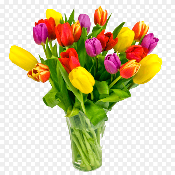 Bouquet of fresh multicolor tulips isolated on transparent background PNG