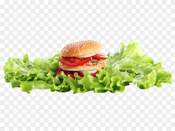 A fresh hamburger with salad and onion on transparent background PNG