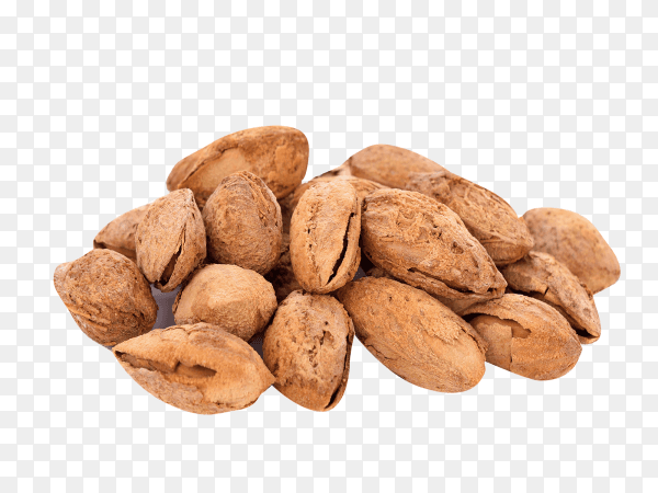 Almonds nuts isolated on transparent background PNG