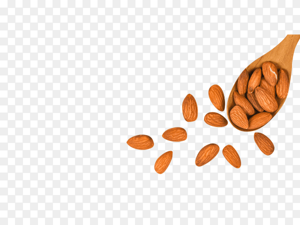 Almonds nuts on wooden spoon on transparent background PNG