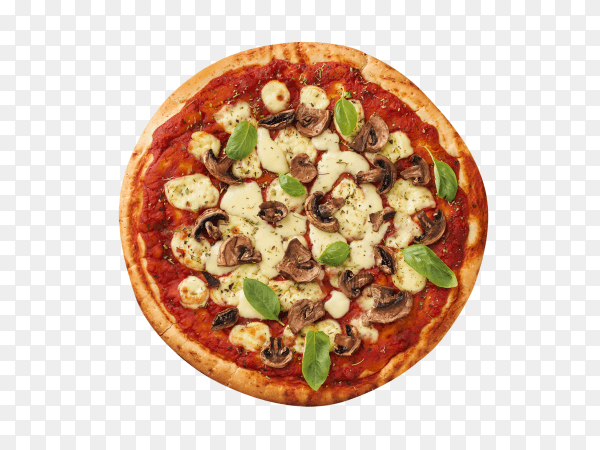 An overhead view of homemade pizza with cheeses; mushroom and basil leaves on transparent background PNG