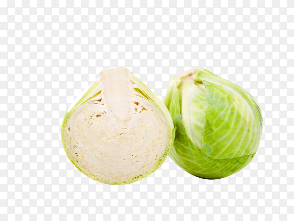 Cabbage isolated on transparent background PNG