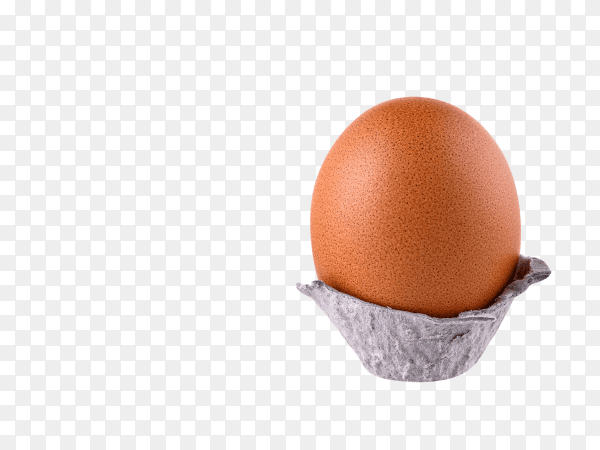 Chicken egg in torn cardboard on transparent background PNG