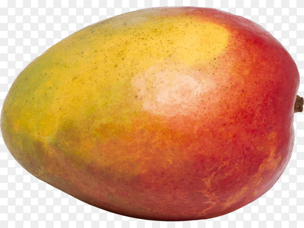 Close up view of a tasty mango fruit isolated on transparent background PNG