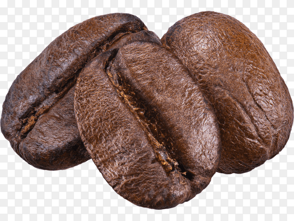 Coffee bean isolated on transparent background PNG