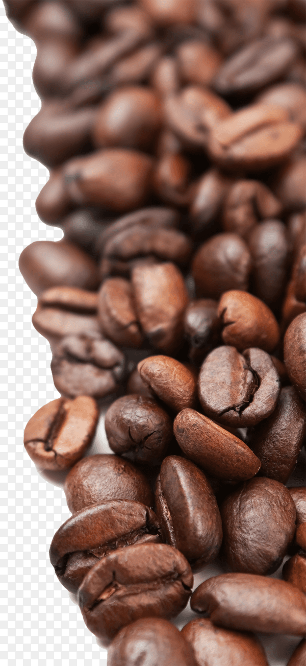 Coffee beans isolated on transparent background PNG