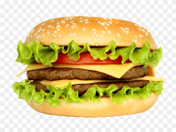 Delicious cheese burger on transparent background PNG