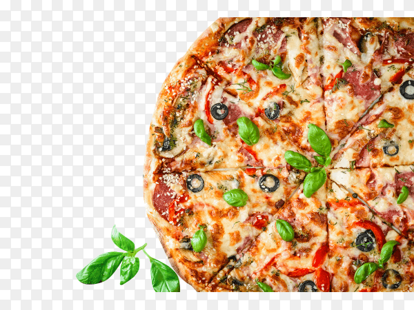Delicious cheese pizza on transparent background PNG