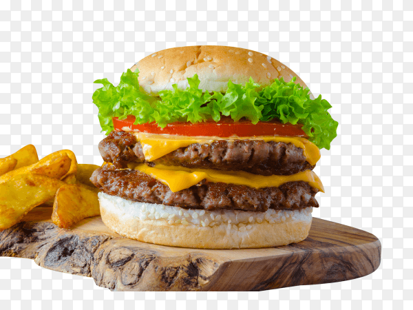 Delicious fresh home made burger isolated on transparent background PNG
