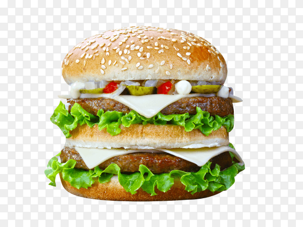 Delicious fresh home made burger on transparent background PNG