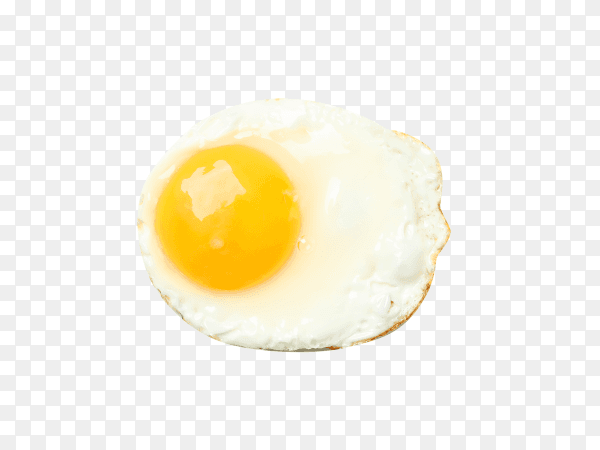 Delicious fried egg on transparent background PNG