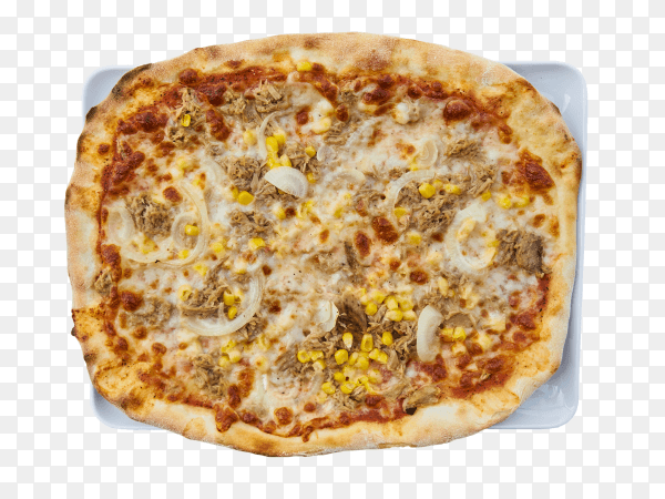Delicious pizza in white plate on transparent background PNG
