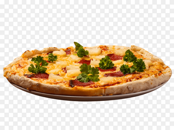 Delicious pizza isolated on transparent background PNG