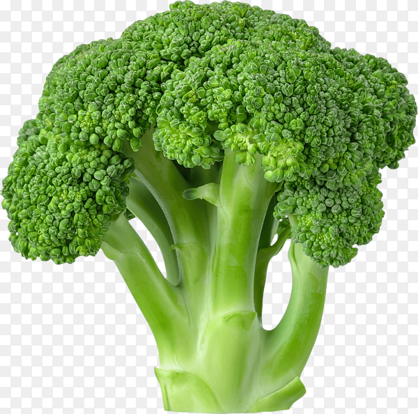 Fresh broccoli isolated on transparent background PNG
