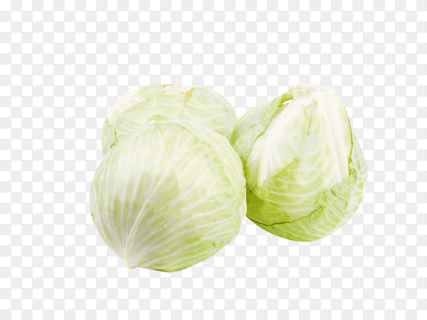 Fresh cabbage on transparent background PNG