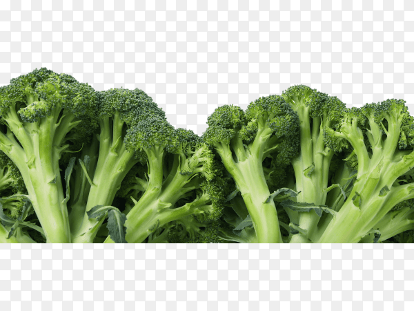 Fresh green broccoli isolated on transparent background PNG