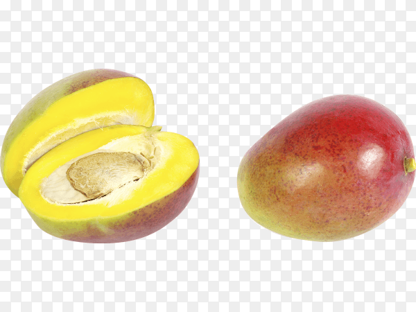 Fresh mango fruit isolated on transparent background PNG