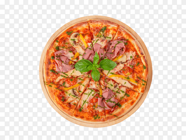 Fresh pizza on transparent background PNG